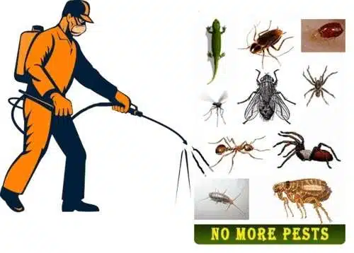 ants pest control