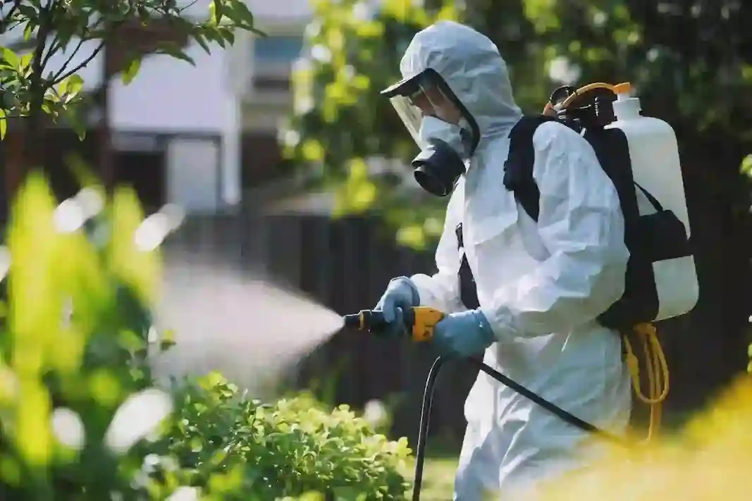 Professional pest control service